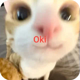 🤲 emoji Leni🦦 hizo más stickers 😼 Telegram sticker 11 of 19