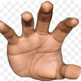 ✋ emoji Рандом фото из галереи @SpottedIeaf Telegram sticker 6 of 56