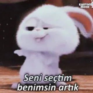Sticker from ⚜️Yiğit Özr ⚜️