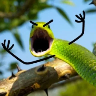 💥 emoji @SameOldShit | Animals Telegram sticker 6 of 120