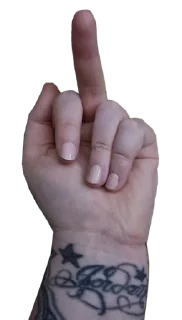 🖕 emoji Choi Sun Telegram sticker 22 of 23