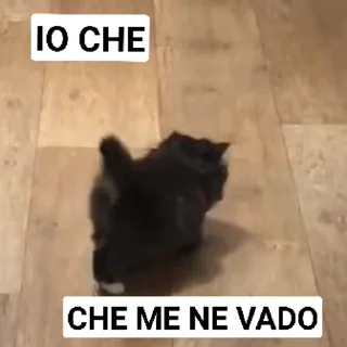 🥺 emoji Animated Shits by @serisvl Telegram sticker 15 of 42