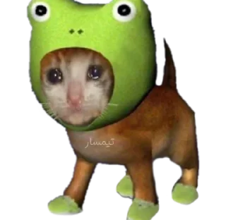 😂 emoji شمالی خر کله ماهی بخور Telegram sticker 21 of 120