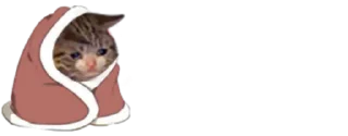 😂 emoji شمالی خر کله ماهی بخور Telegram sticker 19 of 120
