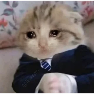 😭 emoji شمالی خر کله ماهی بخور Telegram sticker 24 of 120