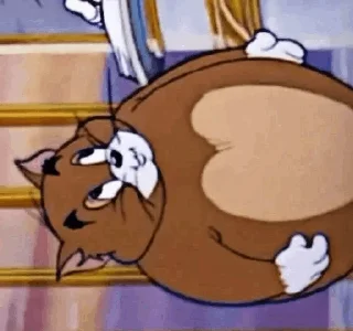 🐈 emoji آیت الله گوربه بهشتی Telegram sticker 5 of 29