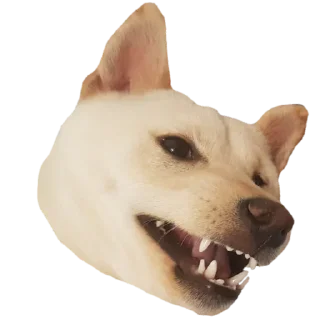 😁 emoji YUKKI Telegram sticker 2 of 46