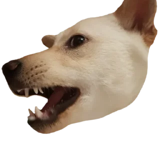 😡 emoji YUKKI Telegram sticker 13 of 46