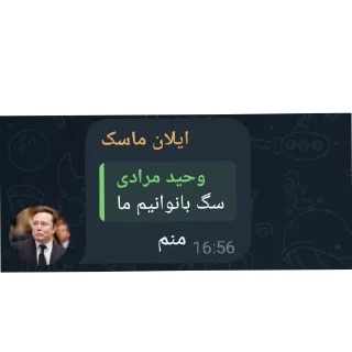 🖤 emoji Islamic republic of iran Telegram sticker 7 of 30