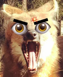 👀 emoji Leggy Googly Eyes @Miomiya Telegram sticker 10 of 63