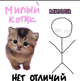 💗 emoji милле<3 Telegram sticker 1 of 33