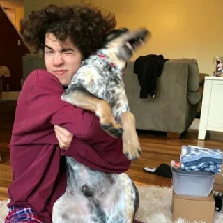 🐶 emoji CONAN GRAY Telegram sticker 23 of 76