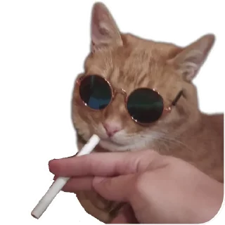 🚬 emoji Boris Telegram sticker 16 of 66