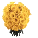 🌻 emoji @word16 ورود 🌹 Telegram sticker 14 of 116