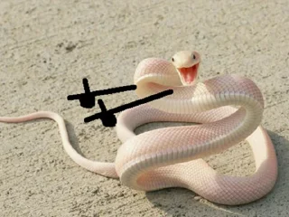 😀 emoji Snake Doodles Telegram sticker 1 of 20