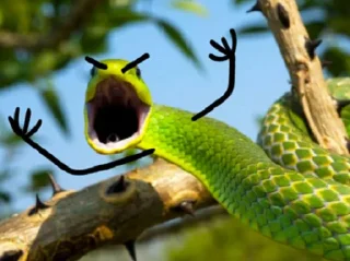 😡 emoji Snake Doodles Telegram sticker 5 of 20