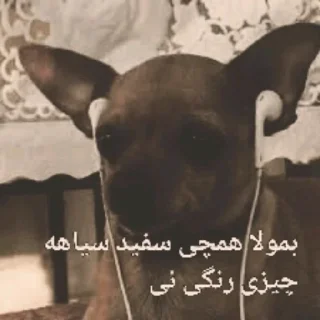 😔 emoji یا حق بمولا... Telegram sticker 12 of 35