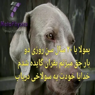 😭 emoji یا حق بمولا... Telegram sticker 16 of 35