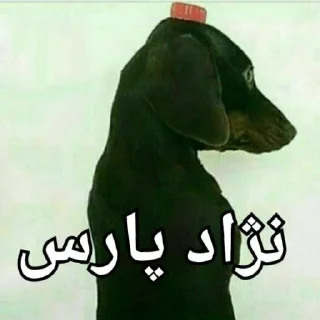 😂 emoji کیرم تو عیران Telegram sticker 14 of 48