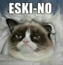 🎿 emoji Grumpy cat😻🖕🏿 by@Queenmalik Telegram sticker 8 of 36