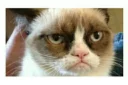 😐 emoji Grumpy cat😻🖕🏿 by@Queenmalik Telegram sticker 21 of 36