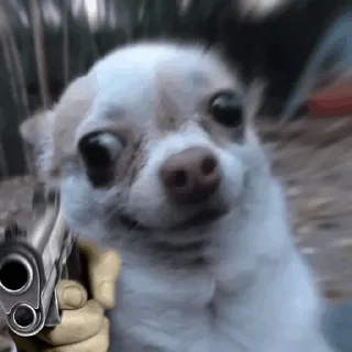 😐 emoji @stjckers شماره مجازی ارزان👉🏼 @Majazinoo_accbot Telegram sticker 16 of 71