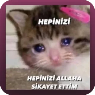 🫥 emoji REDİSTO ASKOLUK PEŞİNDE 💕 Telegram sticker 8 of 84