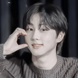 🔖 emoji 𖥻 jungwon : 🔖 : @lumicore_present Telegram sticker 19 of 40