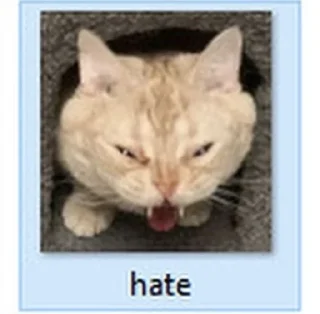 🐱 emoji SmogLagRoop Telegram sticker 5 of 91
