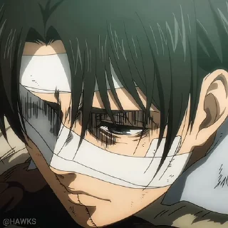 🙁 emoji AOT Final Season (@TodorokiShouto) Telegram sticker 5 of 50