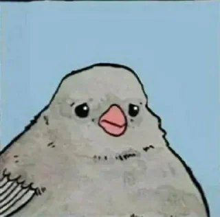 ✅ emoji N word Telegram sticker 24 of 76