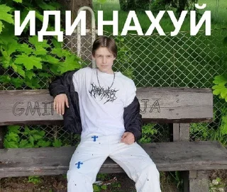 🌟 emoji Ян zaebalsa Telegram sticker 9 of 13