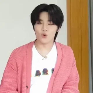 🍕 emoji IdolHuman BTS @skzstickers Telegram sticker 13 of 50