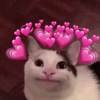 💕 emoji kitten💕 @nymphett Telegram sticker 16 of 68