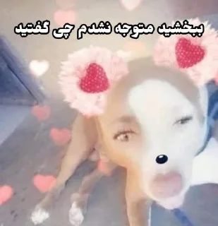🚧 emoji بخش زباله دونی تلگرام Telegram sticker 11 of 41