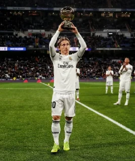 🤍 emoji Los Blancos @ramos_ly02 Telegram sticker 8 of 65