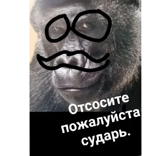 🖼 emoji Сигма Негры Telegram sticker 5 of 18