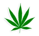 Sticker from weed