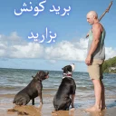 😂 emoji Johnny Sins Telegram sticker 15 of 32