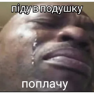 😭 emoji нацист Telegram sticker 18 of 32