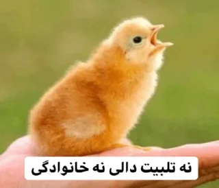 🙄 emoji So🌸asl🐣 Telegram sticker 14 of 91