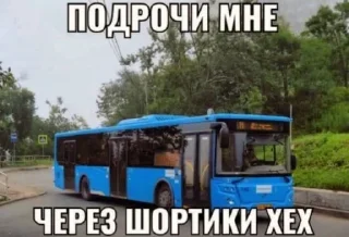 🍾 emoji huipizdaskovoroda Telegram sticker 5 of 120