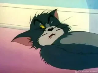 Sticker from تام فنان متعصب