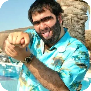 👍 emoji Amzurnanın Paketi Telegram sticker 19 of 42