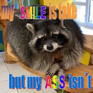 😔 emoji Sad racoons Telegram sticker 3 of 42