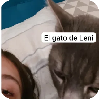 🐱 emoji Leni🎀🦦 Telegram sticker 17 of 120