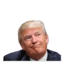 😕 emoji Donald Trump’d Telegram sticker 24 of 28