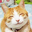 ☺️ emoji Cats🐾 Telegram sticker 15 of 120