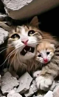 🛀 emoji Goofy hate Telegram sticker 11 of 85