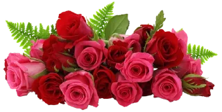 Sticker from Flowers >> @Stickerabad